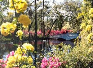 Magnolia Gardens & Plantation